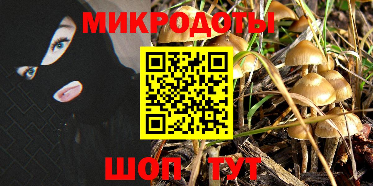 Псилоцибиновые грибы прущие грибы  Вход с VPN  Учалы  Галлюциногенные грибы Cubensis 